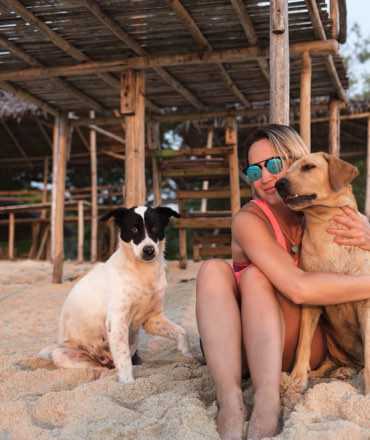 Bomaderry Vets: Girl sitting with two dogs