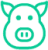 pig icon